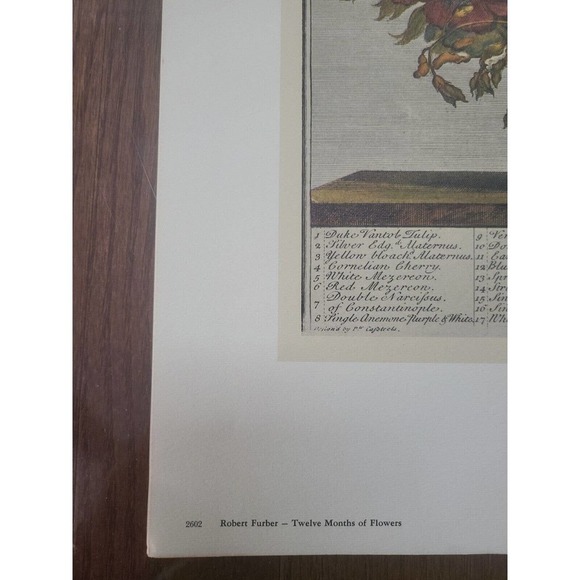 Rob Furber Gardiner At Kensington 1730 H. Fletcher "February" Month Of Flowersm. - Picture 2 of 7